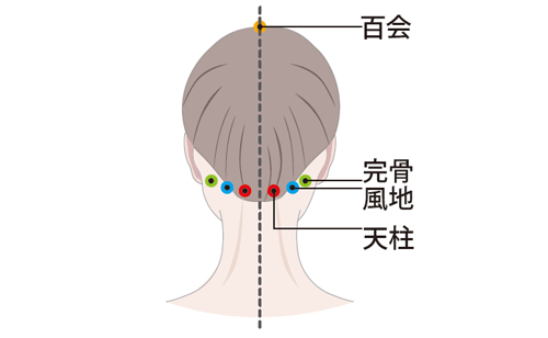 頭痛に良いツボ その６ 熊本 整体 スクール 独立開業 熊本にあるjhb整体スクールが定期的に更新するスタッフブログ