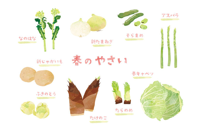 春先こそ整えたい「血流」〜季節の食材と巡らせ習慣〜