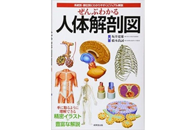 『おすすめ書籍』人体解剖図