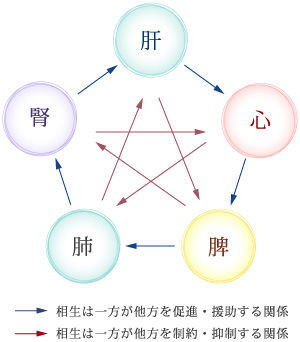 五臓六腑（ごぞうろっぷ）